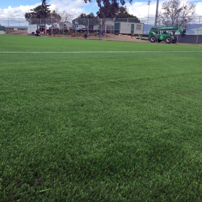 Synthetic Grass Sports Fields Frostproof Florida