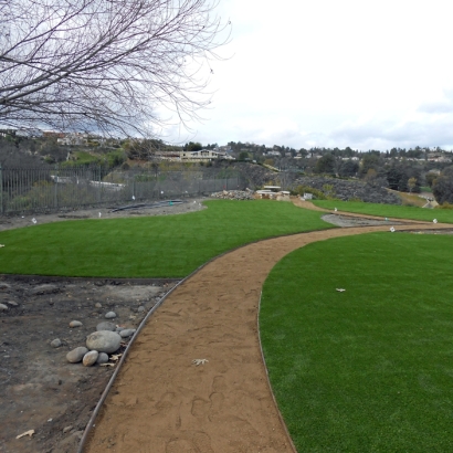 Synthetic Grass Sports Fields Tangerine Florida Front Yard