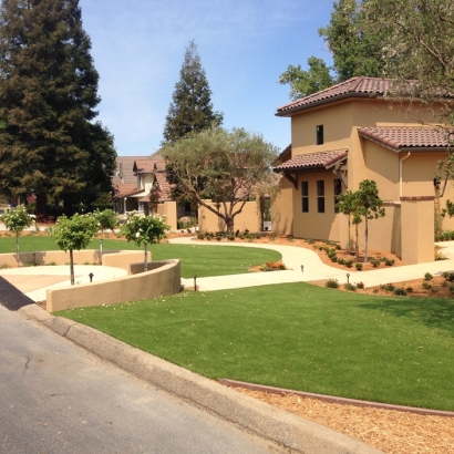 Synthetic Grass Winter Garden Florida Lawn Swimming Pools