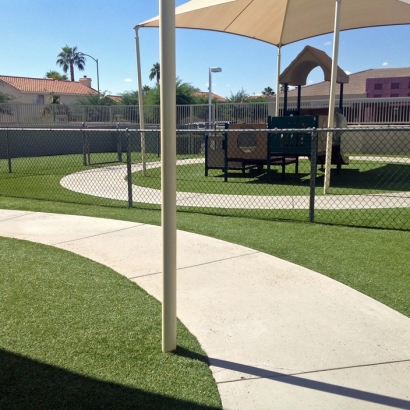 Synthetic Grass Yalaha Florida Playgrounds Back Yard