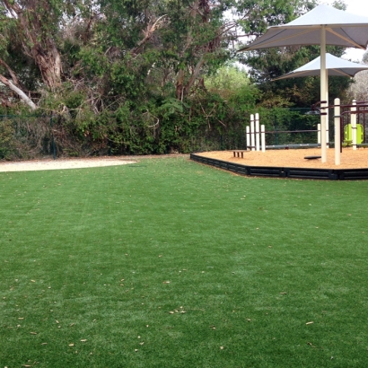 Synthetic Grass Yalaha Florida Playgrounds