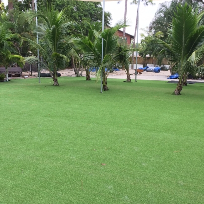 Synthetic Lawn Welaka, Florida Rooftop, Commercial Landscape