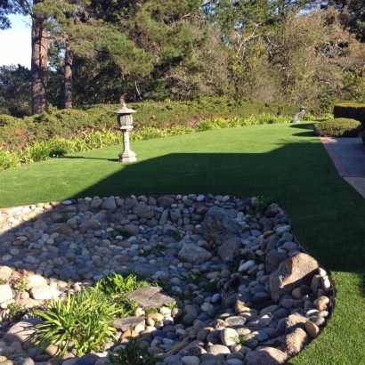 Synthetic Pet Grass Cypress Gardens Florida Installation