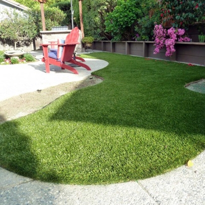 Synthetic Pet Grass Fuller Heights Florida Installation