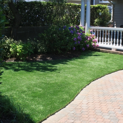 Synthetic Pet Grass Rockledge Florida for Dogs Front Yard
