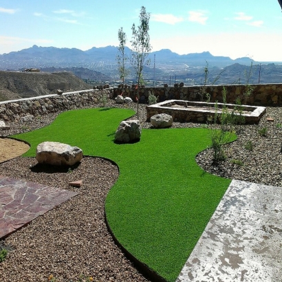 Synthetic Pet Turf Astatula Florida for Dogs Front Yard