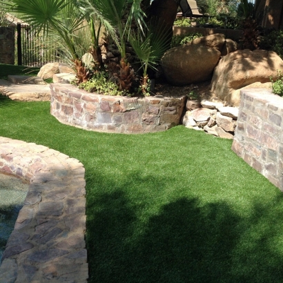 Synthetic Pet Turf Center Hill Florida Installation Back