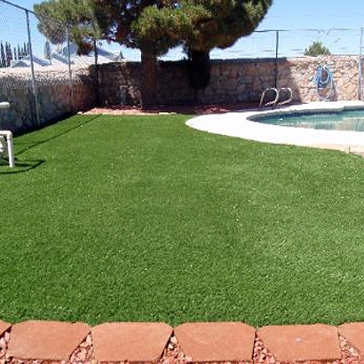 Synthetic Pet Turf Highland City Florida for Dogs Front