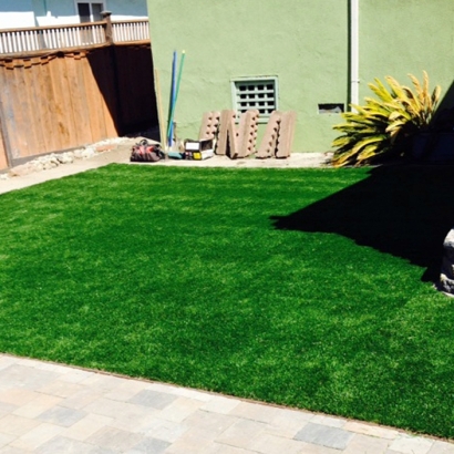 Synthetic Pet Turf Mascotte Florida for Dogs Front Yard