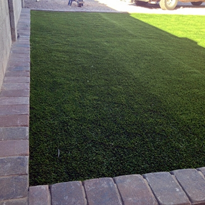 Synthetic Pet Turf Nobleton Florida for Dogs