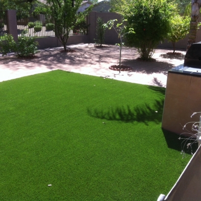 Synthetic Pets Areas Indialantic Florida Installation