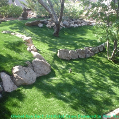 Synthetic Turf Holden Heights Florida Landscape
