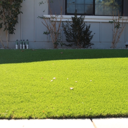 Synthetic Turf Indialantic Florida Lawn