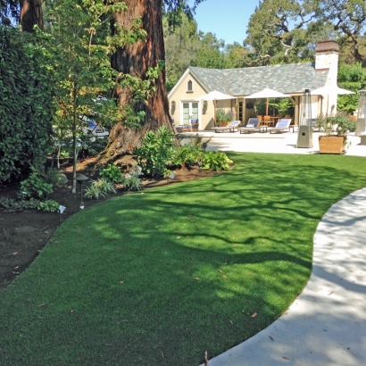 Synthetic Turf Lake Hart Florida Landscape Front Yard