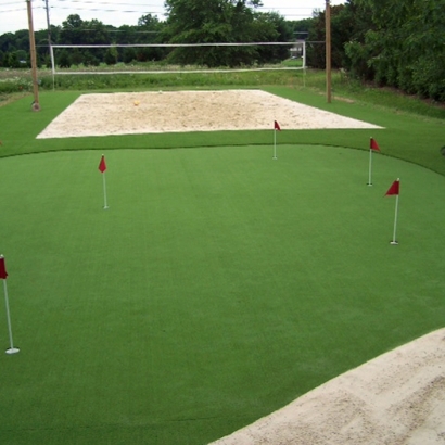 Synthetic Turf Stadium Meadow Woods Florida Parks