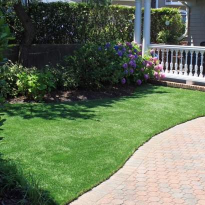 Synthetic Turf Union Park Florida Landscape Commercial