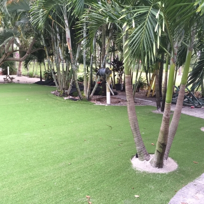 Turf Grass Grant-Valkaria, Florida Landscaping, Commercial Landscape