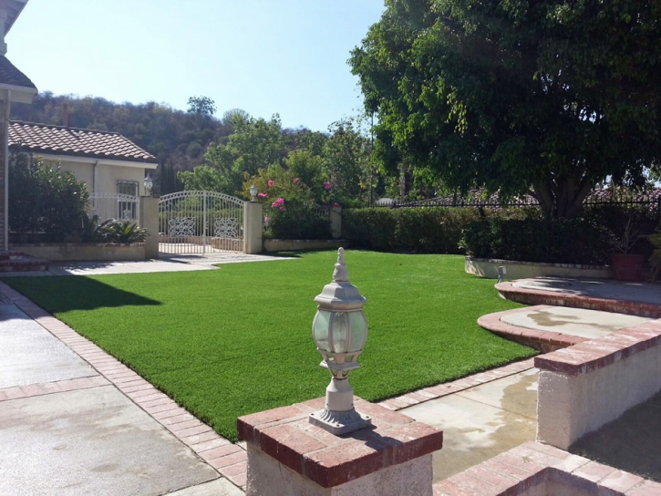 Artificial Grass Buenaventura Lakes Florida Lawn Front Yard