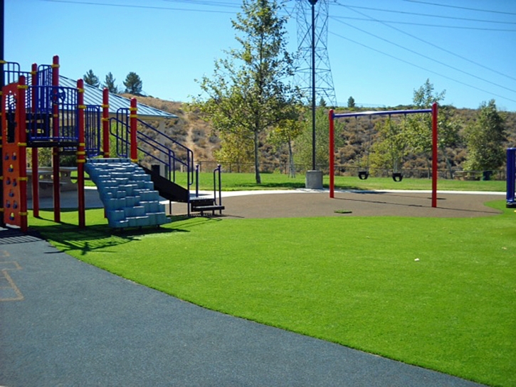 Artificial Grass Lacoochee Florida Childcare Facilities Fountans