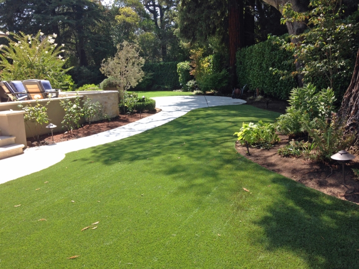 Artificial Grass Lake Hart Florida Landscape Front Yard