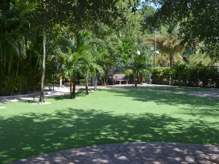 Artificial Grass Lake Lindsey, Florida Lawns, Commercial Landscape