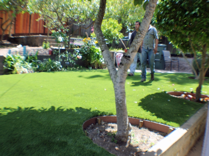 Artificial Grass Mulberry Florida Landscape