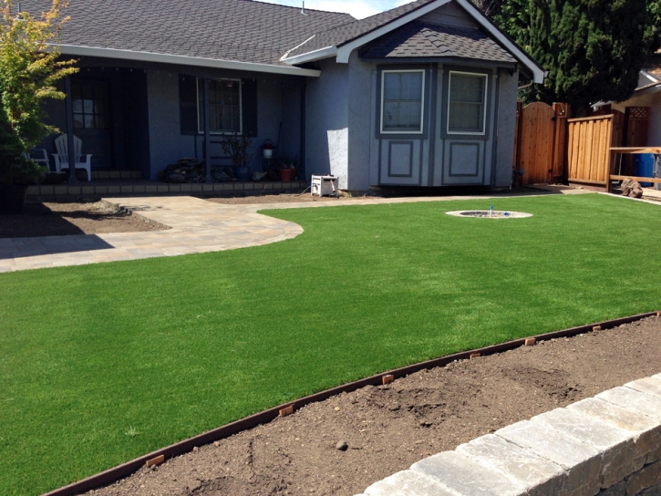 Artificial Grass Ocoee Florida Landscape Commercial Landscape