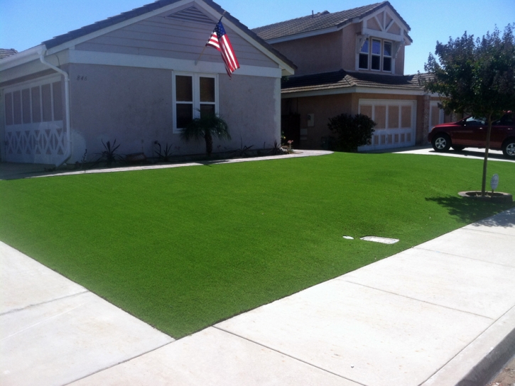 Artificial Grass Oviedo Florida Lawn Recreational Areas