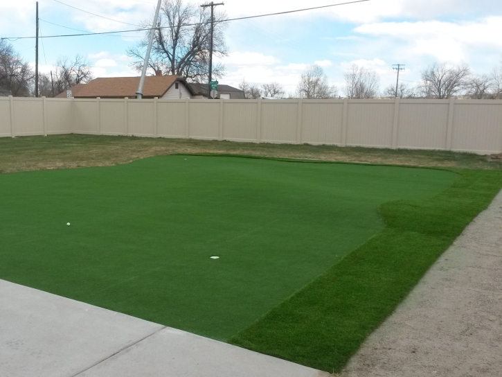 Artificial Grass Palm Bay, Florida Indoor Putting Green, Backyard Design