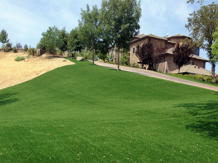Artificial Grass South Apopka Florida Lawn Front Yard