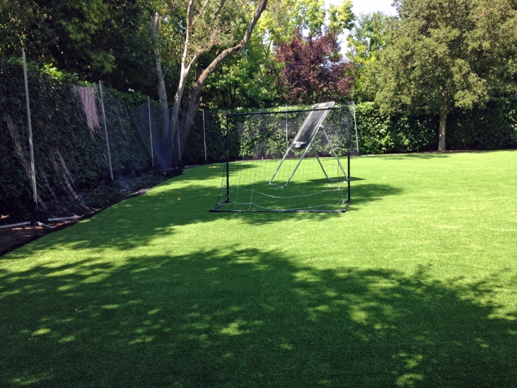 Artificial Grass Sports DeBary Florida Back Yard