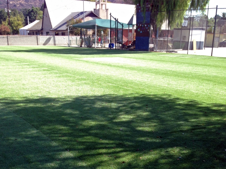 Artificial Grass Sports Fields The Villages Florida Back