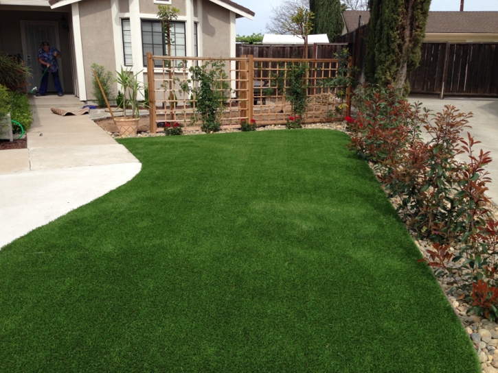 Artificial Grass Willow Oak Florida Lawn