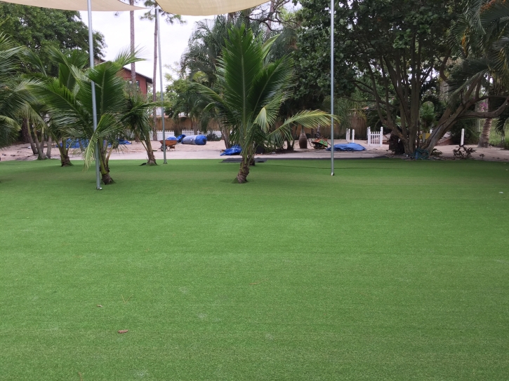 Artificial Lawn Wesley Chapel, Florida City Landscape, Commercial Landscape