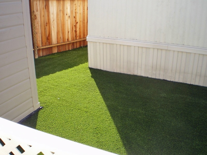 Artificial Pet Grass Dade City North Florida for Dogs