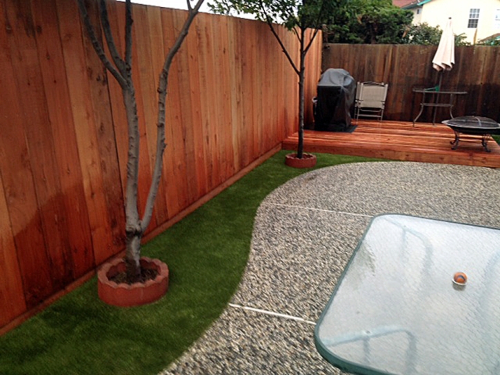 Artificial Pet Grass Saint Leo Florida Installation Back