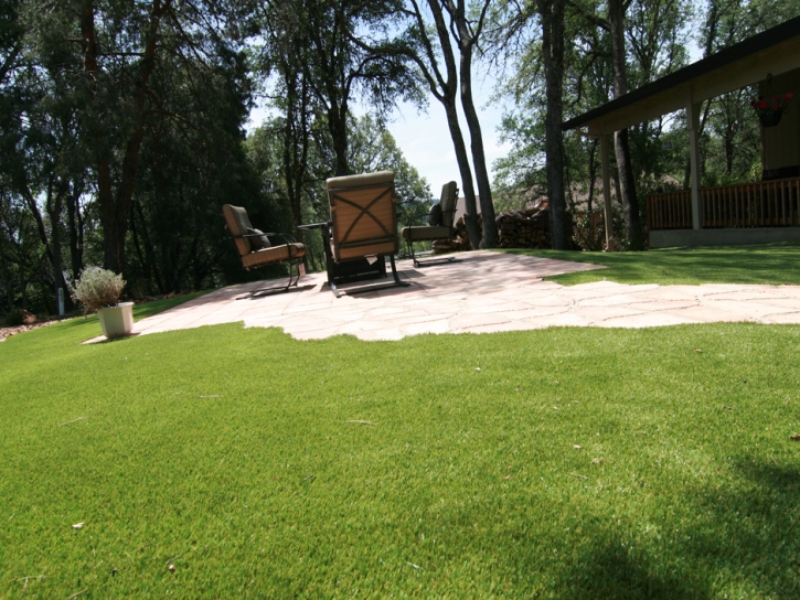 Artificial Turf Buenaventura Lakes Florida Landscape Commercial