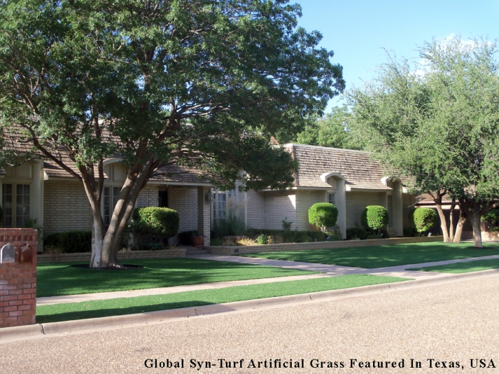 Artificial Turf Fairview Shores Florida Lawn