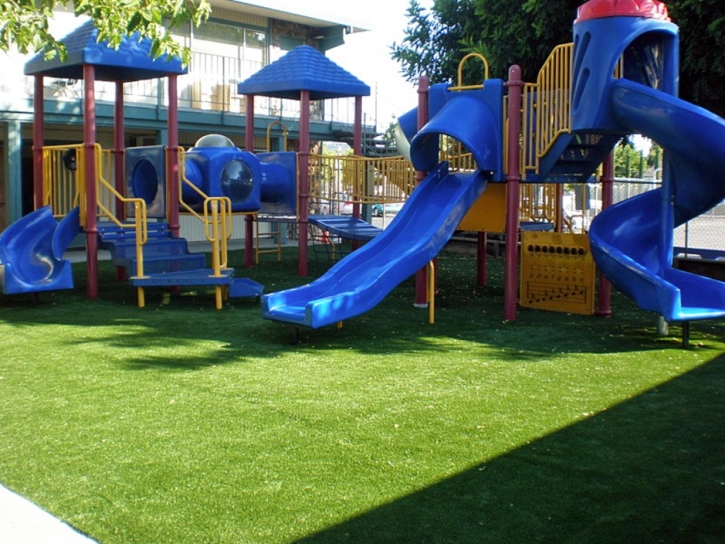 Artificial Turf Holly Hill Florida Kindergarten Swimming