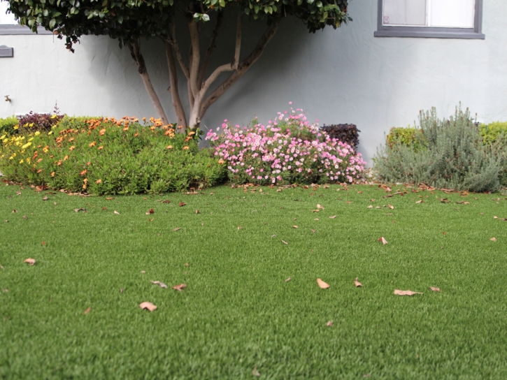 Artificial Turf Homeland Florida Landscape