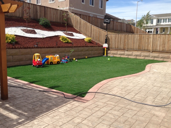 Artificial Turf Installation Bradley Junction, Florida Playground, Backyard Design