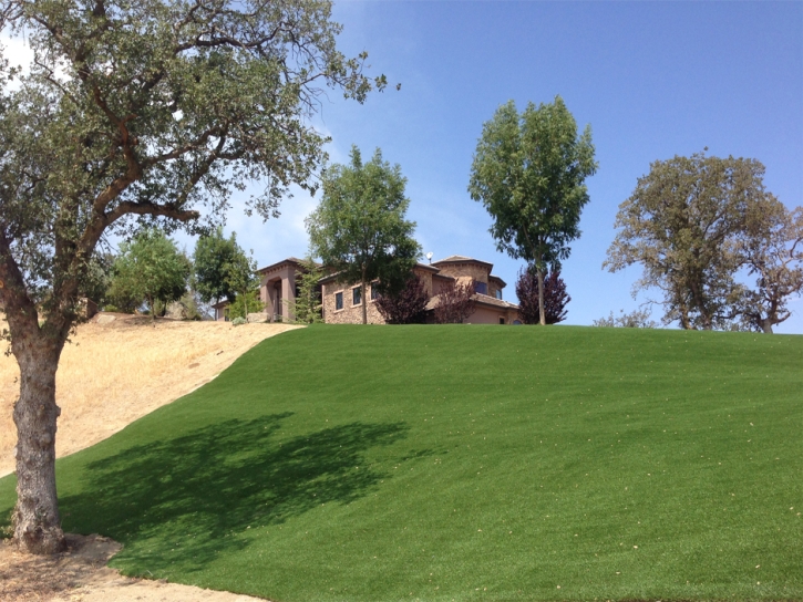 Artificial Turf Longwood Florida Landscape Back Yard