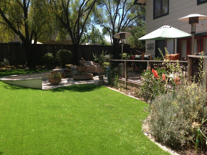 Artificial Turf Oviedo Florida Lawn Front Yard
