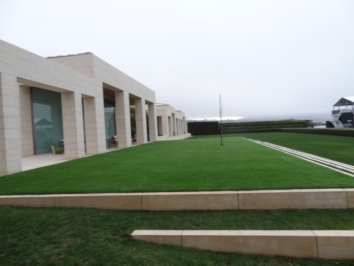 Artificial Turf Pine Hills Florida Landscape