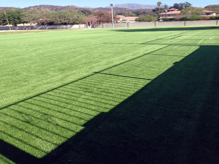 Artificial Turf School Stadium Ridge Manor Florida Back