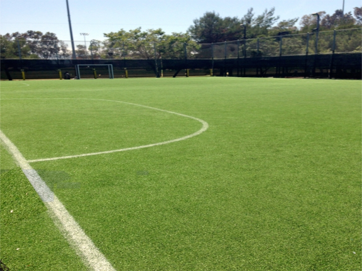 Artificial Turf Sports Casselberry Florida Back Yard