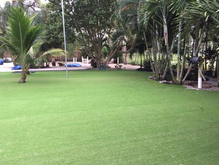 Artificial Turf Thonotosassa, Florida Gardeners, Commercial Landscape