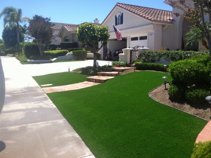 Artificial Turf Tildenville Florida Lawn Front Yard
