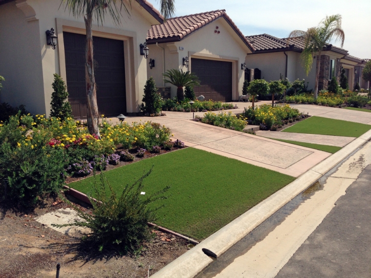 Artificial Turf Wekiva Springs Florida Landscape