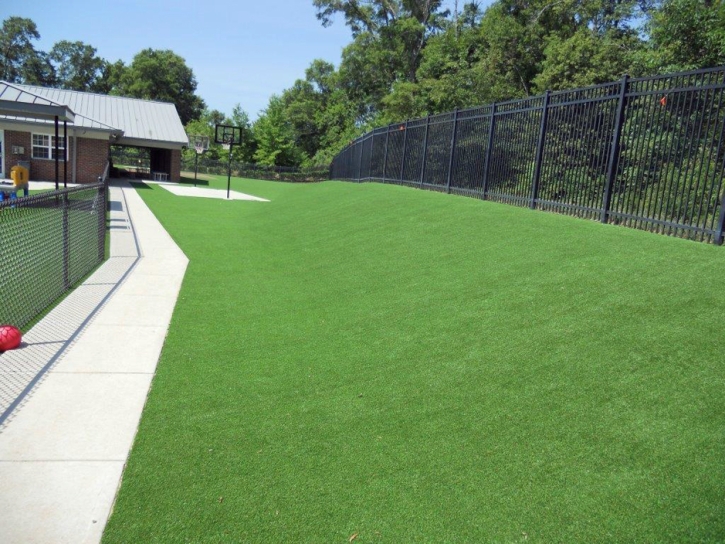 Artificial Turf Winter Garden Florida Landscape Front Yard